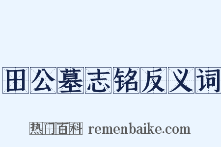田公墓志铭反义词是什么意思的图片